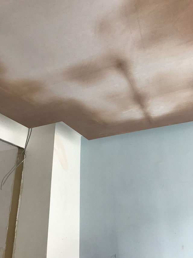 Professional Plasterer